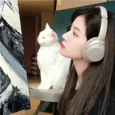 更上一层楼